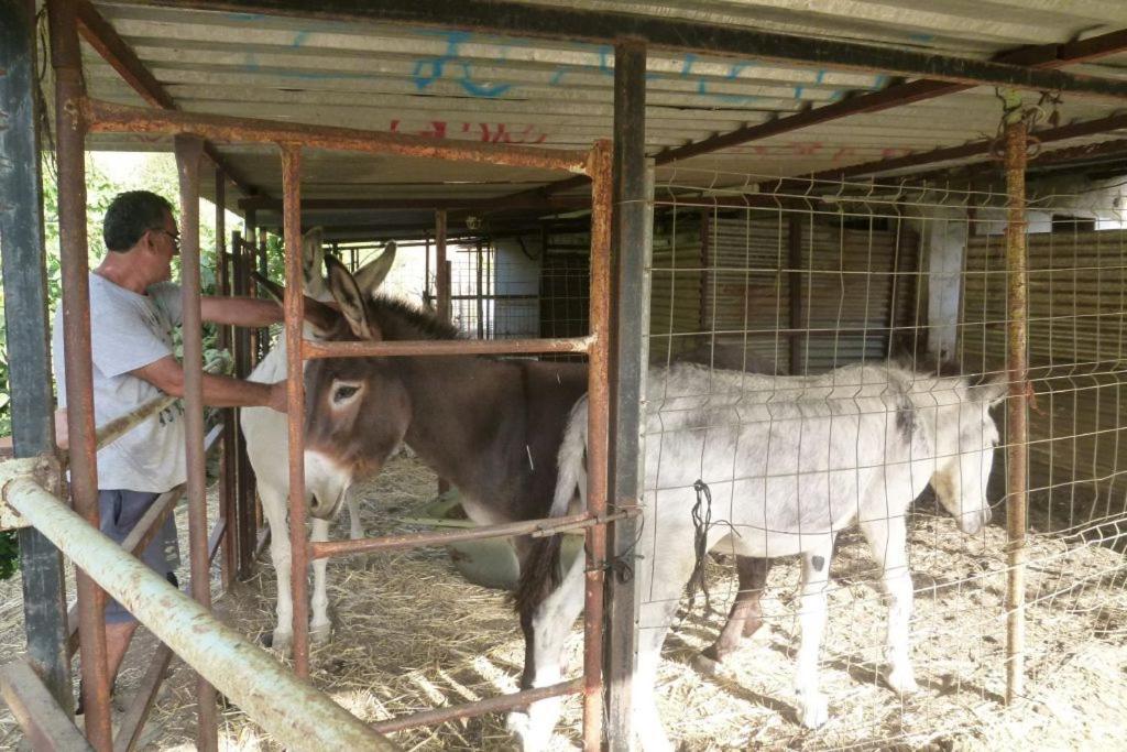 Tolatán Finca Los Burros المظهر الخارجي الصورة