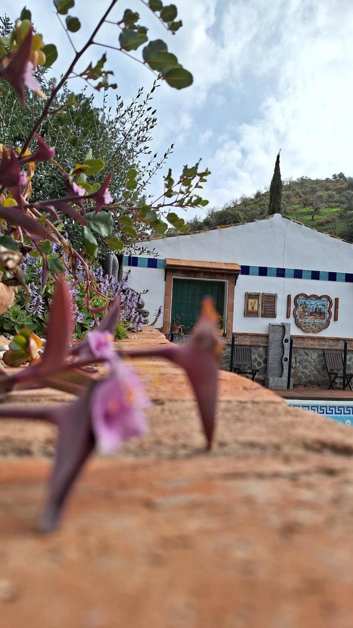 Tolatán Finca Los Burros المظهر الخارجي الصورة